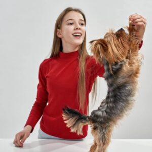 Pet Grooming